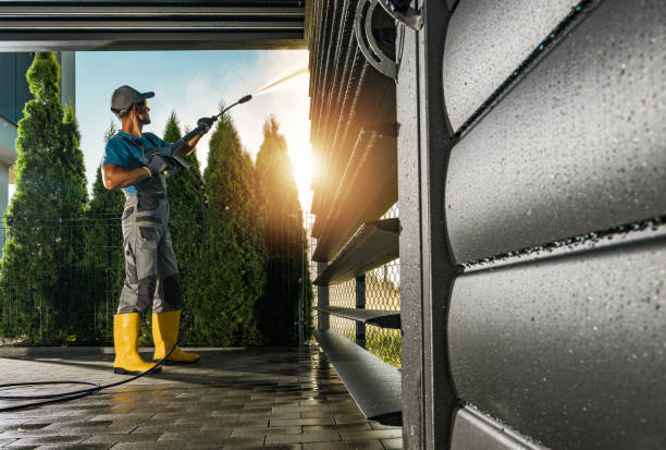 Best House Exterior Washing  in Wyong, MI